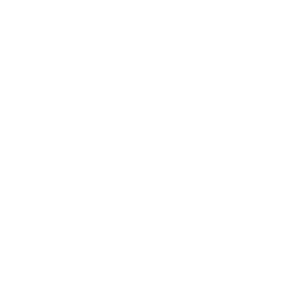 Internal Brand Store